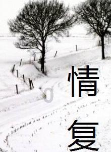 同航班不同价,“随机”还是“算计”?